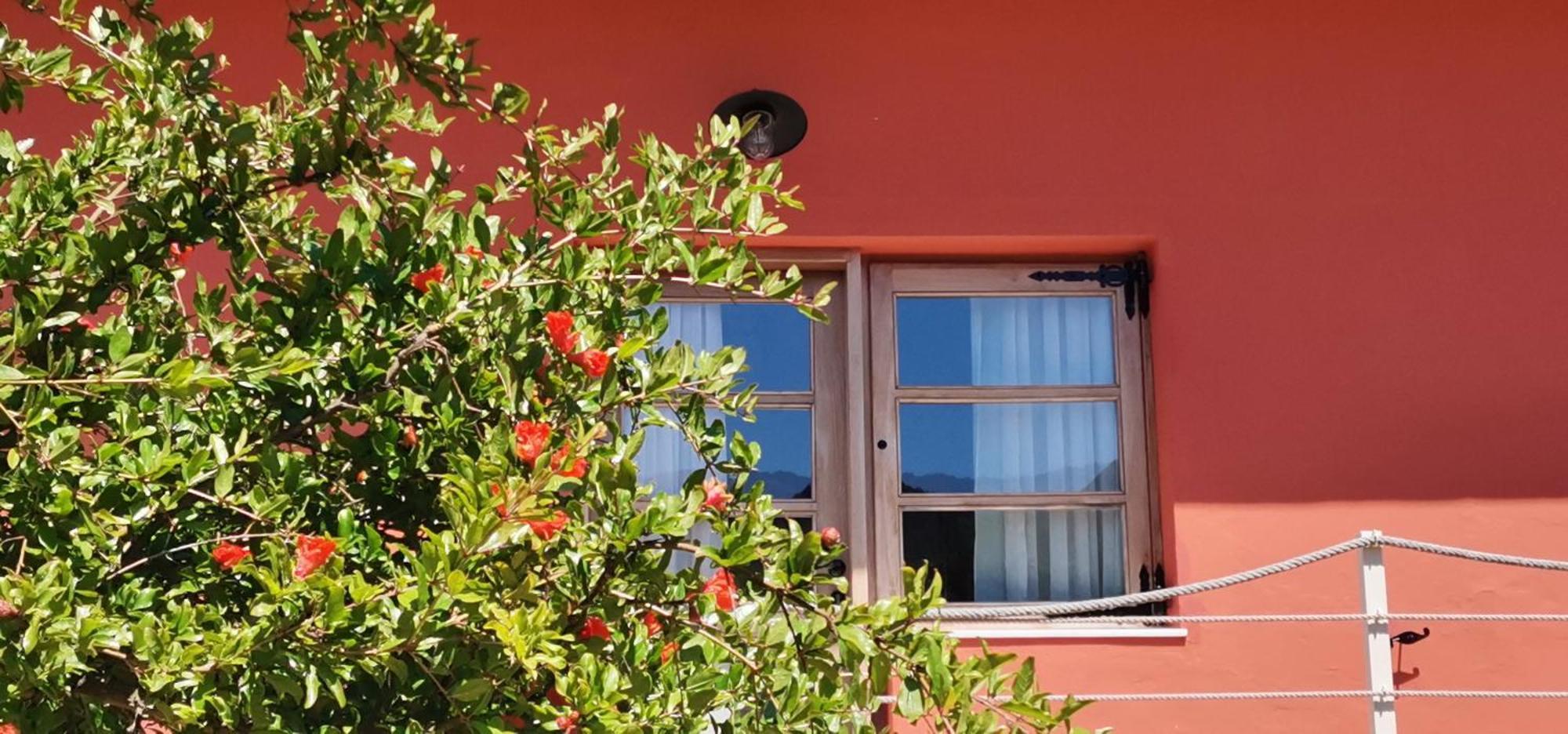 Coralina Tatil Evi *