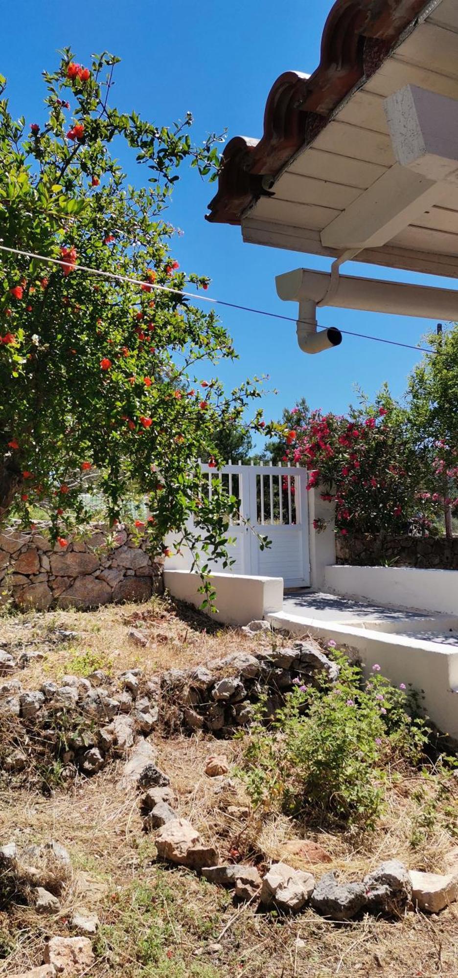 Tatil Evi Coralina *